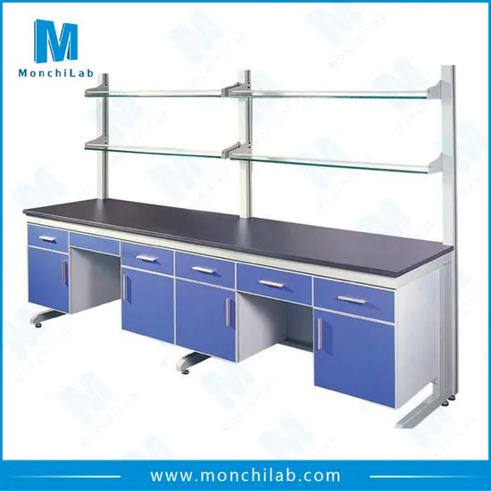 School Chemistry Lab Bench with Reagent Shelf Condition New Model NO. LFLB Guarantee 2 Years Trademark MonchiLab Customized - Image 3