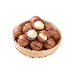 New Crop Yunnan Raw Macadamia Nut in Shell - Image 4