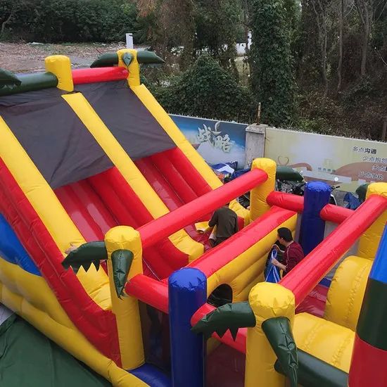 Custom Inflatable Water Slide for Adults and Kids Inflatable Slide - Image 3