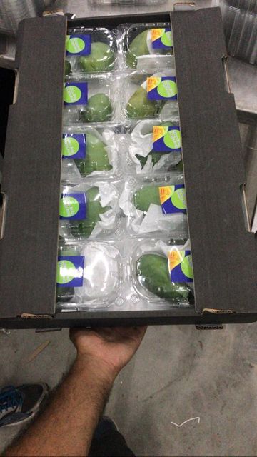 Fresh Mango - Image 4