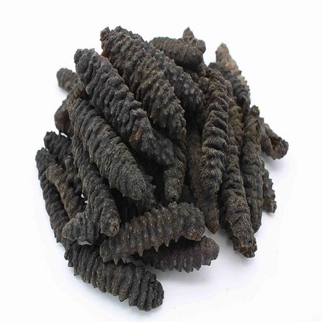 Best selling Dried Sea Cucumber for sale Sea Cucumber Dry Sea Cucumber - Image 4