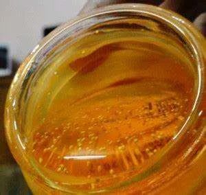 Food-Grade Soya Lecithin Liquid Emulsifier 2Y Shelf MOQ100 Renze Halal Kosher - Image 6