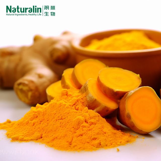 Turmeric Extract - Image 3