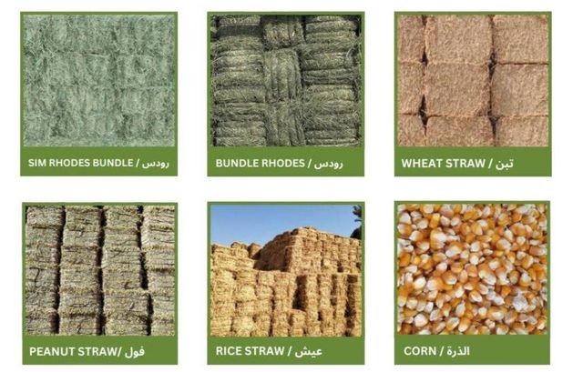 Anmile feed & Rhode grass hey Origin - Image 1