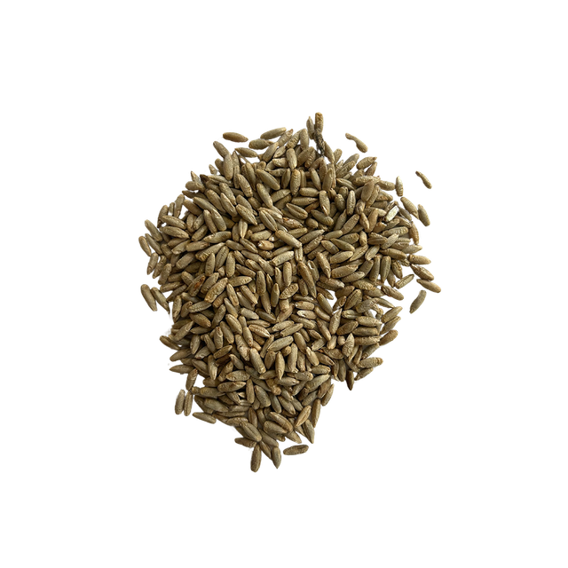 Bulk rye grain wholesale supply at competitive cheap price - Image 2