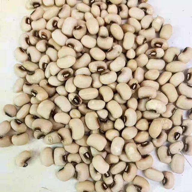 Natural Premium Black Eyed Peas Fully Washed Black Eyed Peas Ready For Packaging And International Export Markets - Image 4