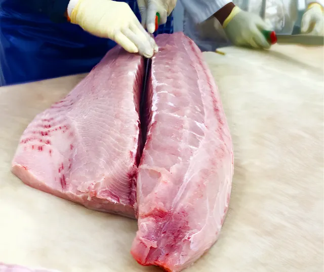 Swordfish Freshness Level Fresh - Image 2