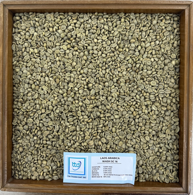 Laos Arabica Grade 1, Screen 16 18, Fully-Washed - Image 4