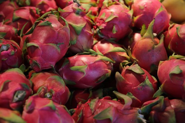 Dragon Fruit - Image 4