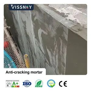 Vissney Innovative Anti Crack Mortar for Versatile Applications in Modern Building Renovation Projects - Image 5