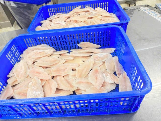 Tilapia Fillet, Tilapia Fish, Vietnam origin, Good Price, Frozen Vietnamese Tilapia Fillet - Image 3