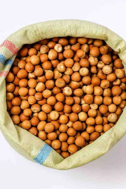 Areca Nut - Image 1