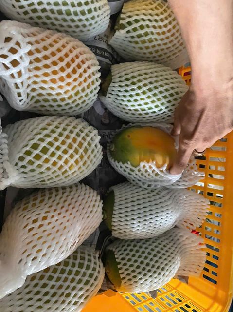 Fresh Mango, passion fruits, red chilli, longan, dragon, wax apple, jackfruit meat, coconut, pomelo,... - Image 11