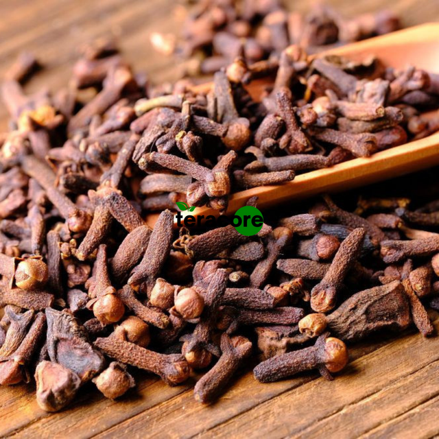 Clove Whole Premium Cloves Spice Original From Indonesia - Image 3