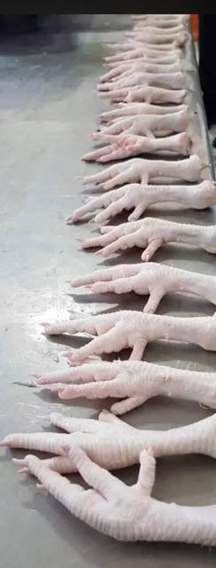 Grade A Halal :Frozen Chicken Feet, Frozen Chicken pews, Frozen Chicken Tails, Frozen Chicken wings,Mixed Chicken Thighs - Image 6