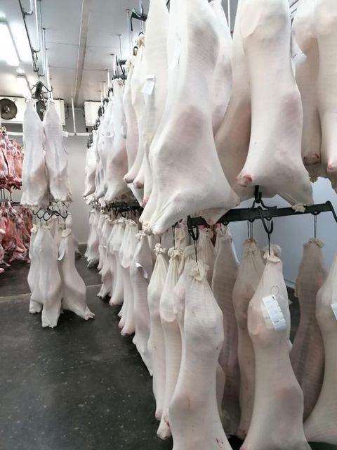 South African Lamb Origin South Africa Type Chilled and Frozen Beef Place of Origin South Africa Product Type Lamb And Mutton - Image 5