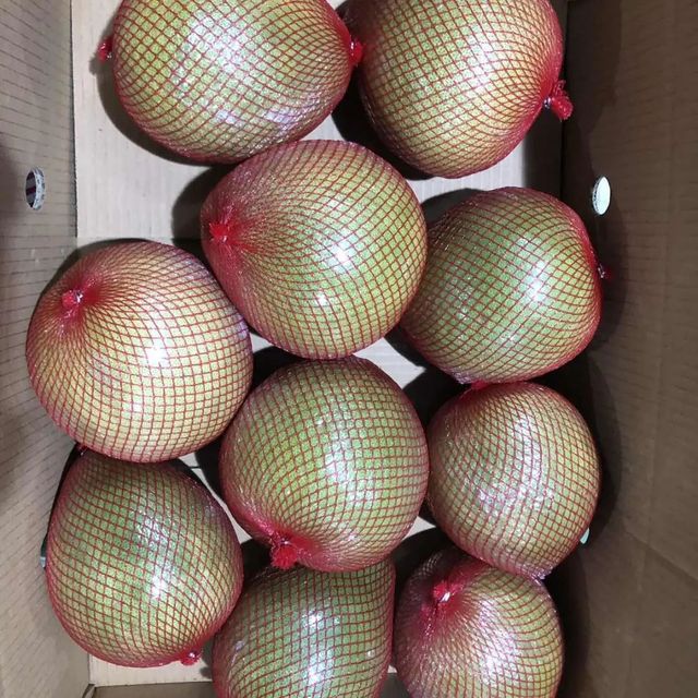 SEIZE THE MARKET: HIGH-QUALITY 5 ROI GRAPEFRUIT FOR EXPORT Grade A Size 13 Cm Style Fresh Weight 1 Kg Maturity 100% Origin - Image 2
