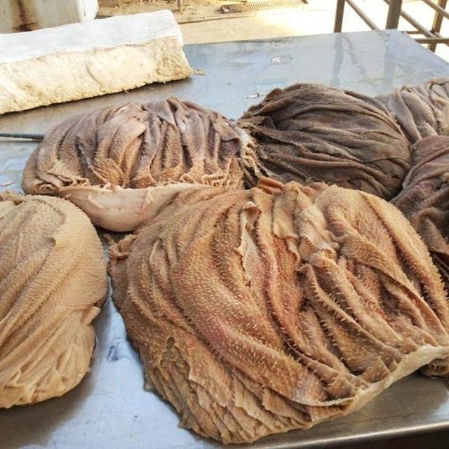 Frozen Salted Beef Omasum Texture Tender Origin Thailan Grade High Quality Flavor Rich And Hearty Place of Origin Thaila - Image 2