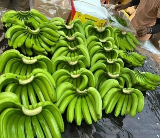 FRESH BANANA - Image 4