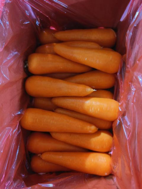 2026 New carrot High Quality Carrot,Fresh Carrot,Wholesale,New vegetables,Lowest price,80g-300g, - Image 4