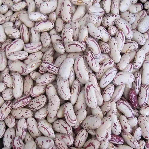 Good Light Speckled Kidney BeansSpeckled kidney beans, also commonly known as red speckled or sugar beans, are versatile - Image 4