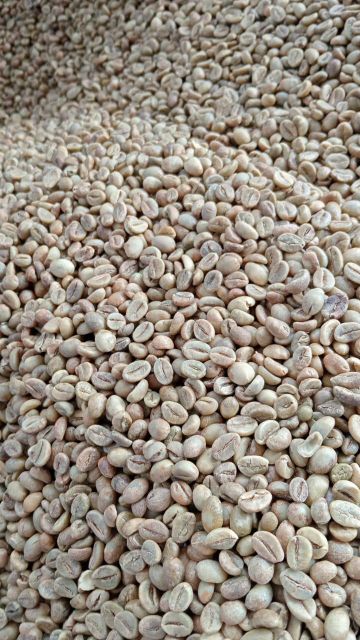 Robusta Green Bean Coffee - Image 1