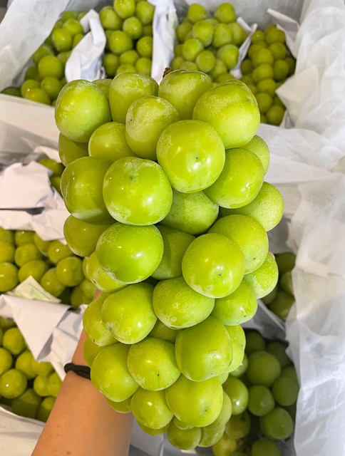 Autumn Crisp Premium Australian Green Grapes OEM Packaging Export Quality, Premium Table Grapes On Sale - Image 3