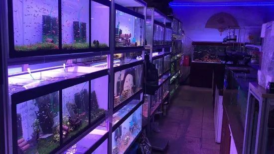 Industrial Aluminium Extrusions Profile Frame System for Fish Tank Rack - Image 3