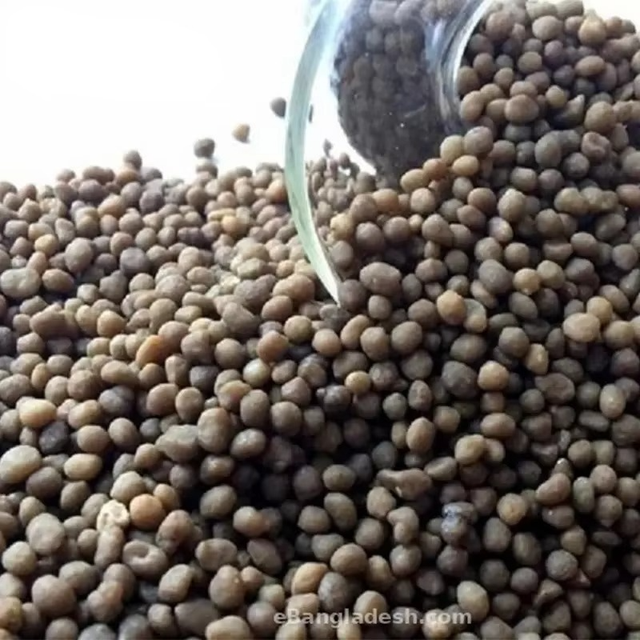 High Quality DAP Fertilizer Bulk Sale Best DAP Fertilizer for Agriculture Promoting Healthy Plant Development and Yield - Image 4