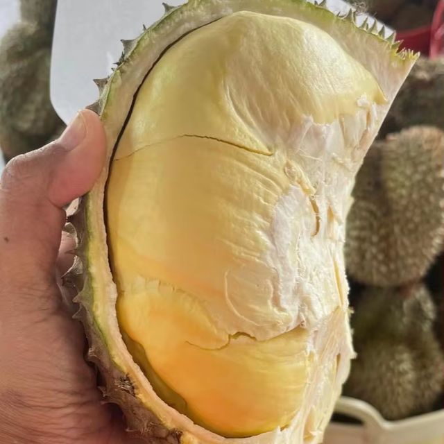 Whole Durian Mon Thong Premium Fresh Organic King of Fruits Original Taste From Thailand Rich & Creamy 3-4 PCS/BOX (Whole) - Image 5