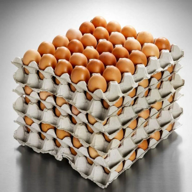 Fresh Brown Table Chicken Eggs - Image 4