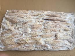 Frozen Precooked Skipjack Tuna Loin Species Kk Place of Origin THAILAND Processing Location Thailand Shelf Life 2 YEARS - Image 2