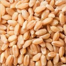 Premium Quality Organic Hard Wheat High Grade Soft and Hard Wheat Grains Delicious Taste Hot Sales-in Stock Buy Now - Image 5