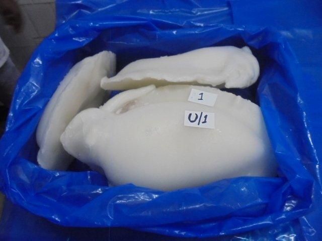 FROZEN CLEANED CUTTLEFISH Organic No Origin Other Freshness Level Frozen Catch Method Wild-Caught - Image 4