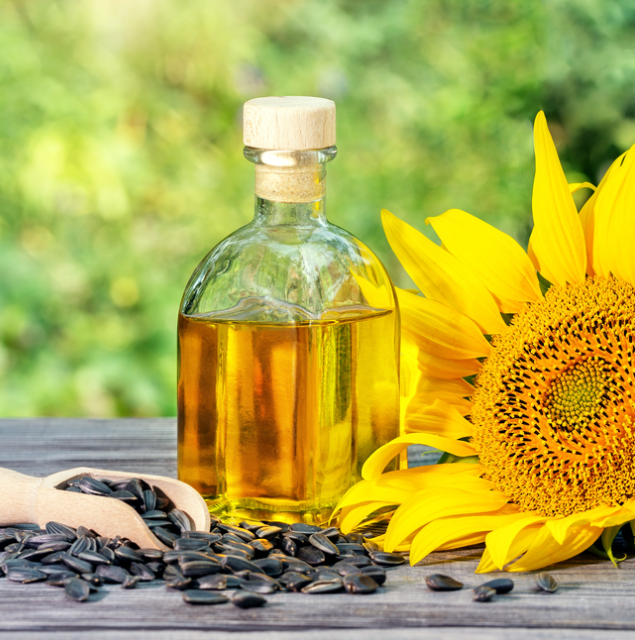 Organic Refined Sunflower Oil High Quality Edible Oil with 99% Purity in Glass Bottle for Cooking and Frying at Very Cheap Price - Image 4