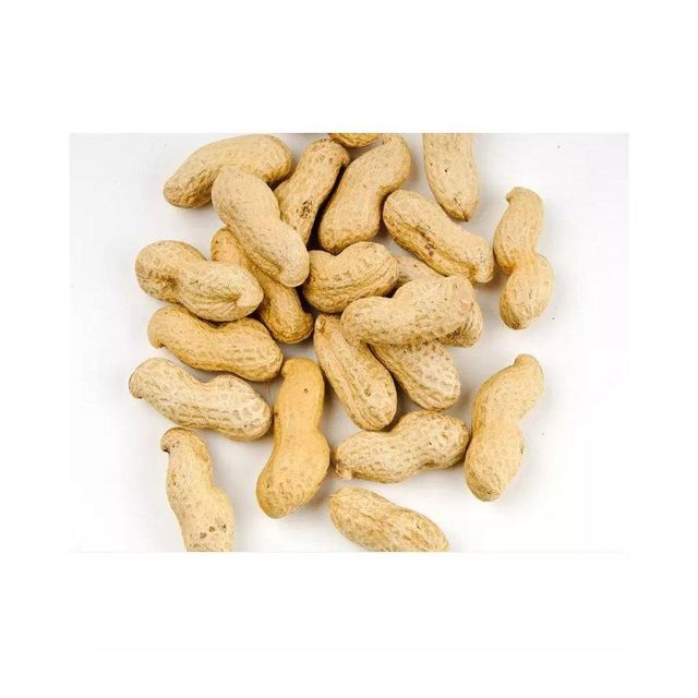 Fast delivery Peanuts wholesale bulk supply affordable top quality - Image 4