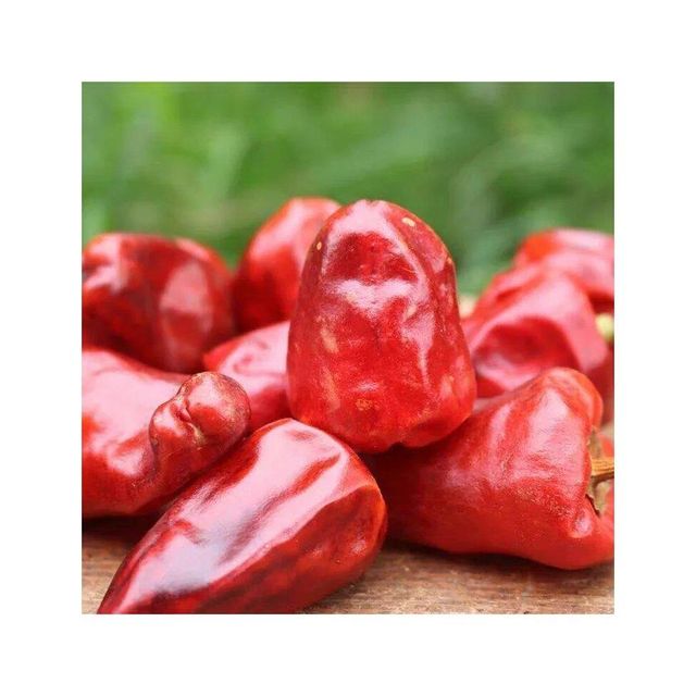 Dried Red Chili Pepper Powder High Quality Red Chili Grounded Dried Red Chili Pepper Powder High Quality Red Chili Grounded Dried Red Chili Pepper Powder High Quality Red Chili Grounded Dried Red Chili Pepper Powder High Quality Red Chili Grounded Dried Red Chili Pepper Powder High Quality Red Chili Grounded - Image 4