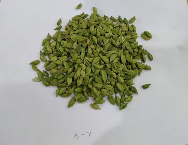 Green Cardamom - Image 3