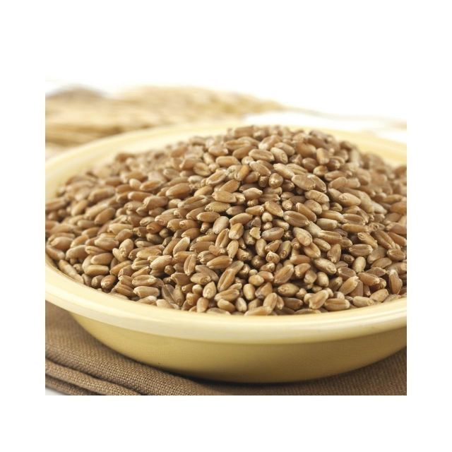 Milling Grade Durum Wheat With Uniform Wheat Size And Purity For International Grain Buyers - Image 1