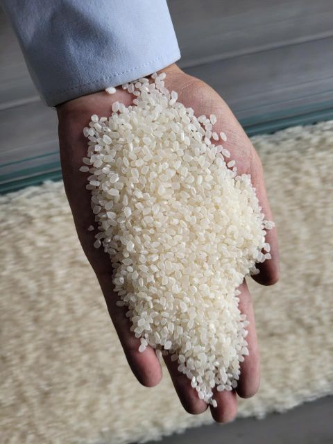Japonica Rice (Japanese sushi rice) - Image 4
