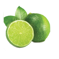 Fresh Seedless LongAN / Fresh Seedless Watermelon Vietnam Grade A Type LIME Color Green Style Fresh Weight (kg) 12 Brand Name - Image 2
