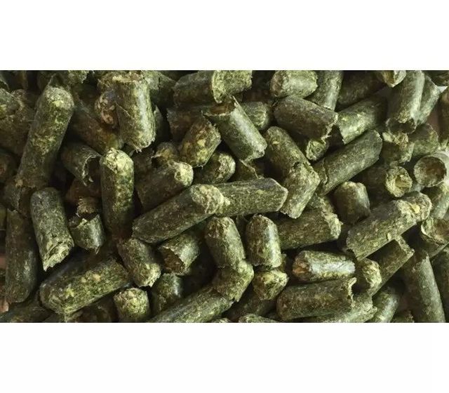 Alfafa Hay Animal Feeding Stuff Alfalfa, hay/alfalfa hay pellets Alfalfa Hay for Animal Feeding /alfalfa hay pellets /Timothy Hay in Bales Animal Feed Grade Top Quality Alfalfa Hay Pellets For Sale Alfalfa Hay Pellets Good Prices - Image 4