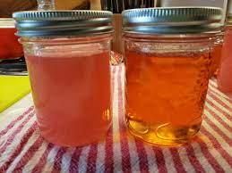 Calagel Texture Gel Forming Function Controls Water To Achieve Desired Texture In Jams, Jellies, And - Image 1