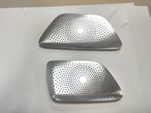 Matte Silver Speaker Horn Cover – High-Quality Audio Accessory for PA Systems & Speakers - Image 5