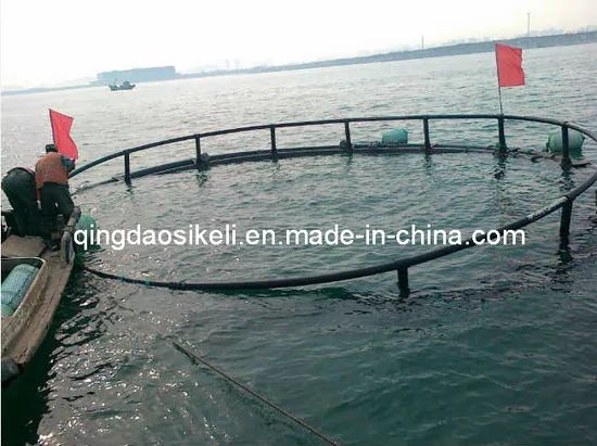Tuna Net Cage for Mediterranean Fish Farming Frame HDPE Color Black Trademark QH Material HDPE Condition New Warranty 1 - Image 3