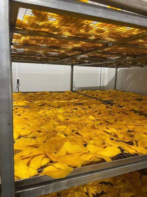 Soft Dried Mango Ready to Eat Healthy Tropical Fruit Snack Private Label Wholesale Manufacturer - Image 4