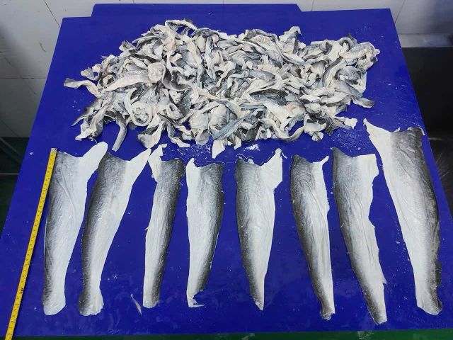 Pangasius Skin - Image 3