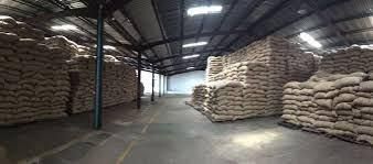 Cocoa beans Color Brown Form Whole Bean Total Mould 3%% 4%% Slaty Beans 3%% 6%% Bean Weight 270-320g Quality Admixture 2% - Image 4