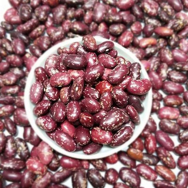 Best Quality Purple Speckled Kidney Bean Long Shape Cooking Red Kidney Beans - Image 5