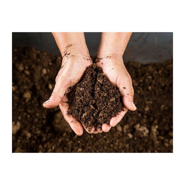 Bulk peat moss available for landscaping companies and horticulture use High quality peat moss - Image 4